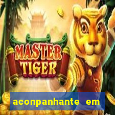 aconpanhante em porto alegre